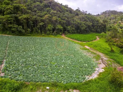 Lote/Terreno à venda, 1200000m² no , Domingos Martins