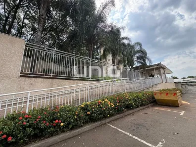 Apartamento com 2 Quartos para alugar, 53m² no Nova América, Piracicaba