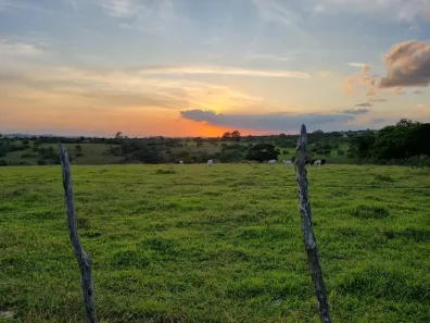 Fazenda/Sítio com 3 Quartos à venda, 14000000m² no Riachão, Caruaru