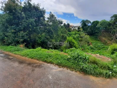 Lote/Terreno à venda, 420m² no Vila Santa Maria, Piraquara