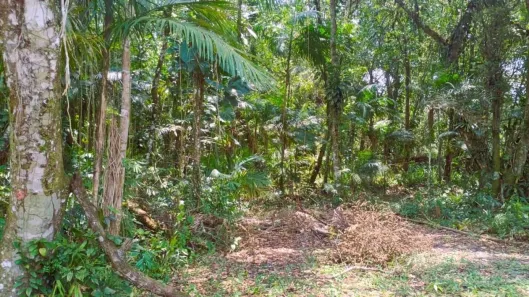 Lote/Terreno à venda, 3069m² no Jardim Coronel, Itanhaém