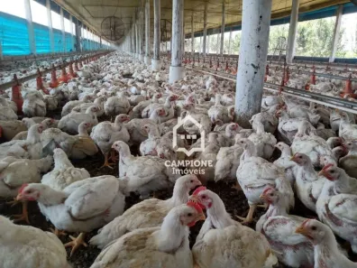 Fazenda/Sítio à venda, 2000m² no , Iperó
