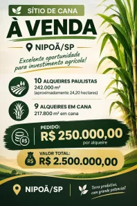 Fazenda/Sítio à venda, 242000m² no Centro, Nipoã