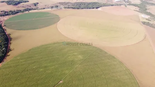 com 3 Quartos à venda, 1800m² no Área Rural de Goiânia, Goiânia