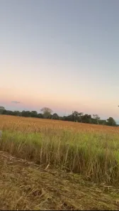 Fazenda/Sítio com 3 Quartos à venda, 86m² no , São Domingos