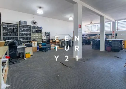 Galpão/Depósito/Armazém para venda ou aluguel, 600m² no Vila Ipojuca, São Paulo