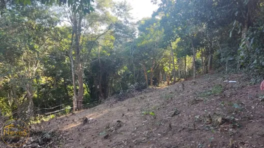 Lote/Terreno à venda, 468m² no Barão de Javary, Miguel Pereira