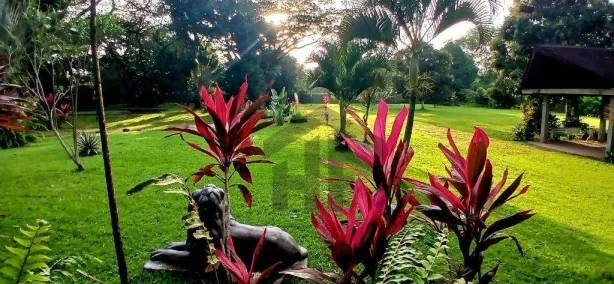 Fazenda/Sítio com 5 Quartos à venda, 800m² no Aldeia dos Camarás, Camaragibe