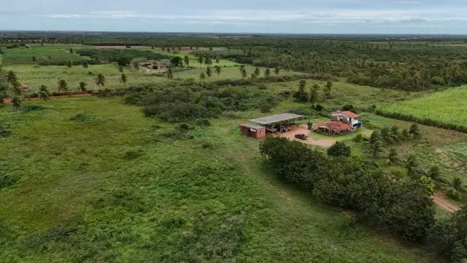 Fazenda/Sítio com 4 Quartos à venda, 500000m² no , Touros