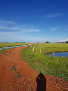 Fazenda/Sítio com 5 Quartos à venda, 7802m² no Centro, Cocalinho