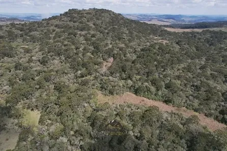 Fazenda/Sítio à venda, 120000m² no , Painel