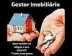 Miniatura da foto de Gestor Imobiliário