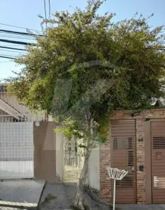 Casa com 3 Quartos à venda, 50m² no Vila Dom Pedro II, São Paulo