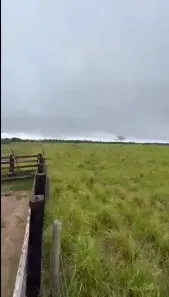 Fazenda/Sítio com 4 Quartos à venda, 4100000m² no , Acará