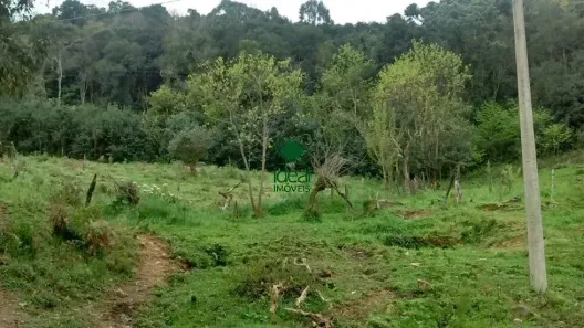 Lote/Terreno à venda, 22554m² no Maestra, Caxias do Sul