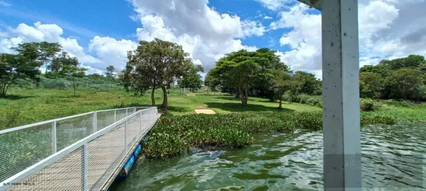 Fazenda/Sítio com 3 Quartos à venda, 320m² no Centro, Lins