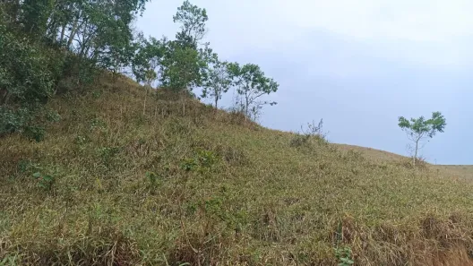 Fazenda/Sítio com 1 Quarto à venda, 100m² no , Paraibuna