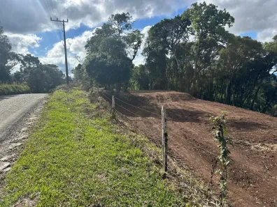 Lote/Terreno à venda, 20000m² no Laranjeiras, Campo Alegre
