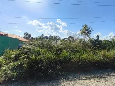 Lote/Terreno à venda, 231m² no Lavras, Mairiporã