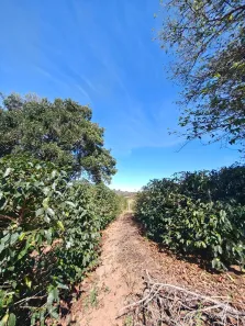 Fazenda/Sítio com 4 Quartos à venda, 106m² no , Pedralva