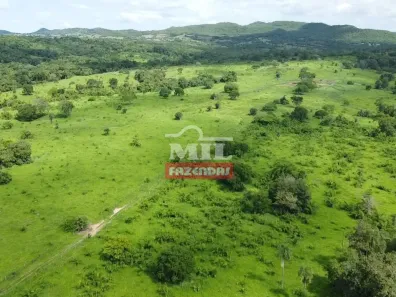 Fazenda/Sítio à venda, 1m² no , Faina