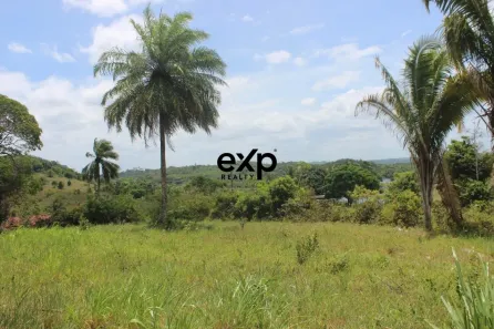 Fazenda/Sítio com 2 Quartos à venda, 130m² no Centro, Camaçari