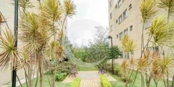 Apartamento com 2 Quartos à venda, 53m² no Vila Moreira, São Paulo