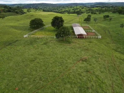 Fazenda/Sítio com 5 Quartos à venda, 1113m² no , Itapaci