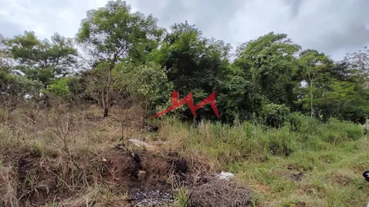 Lote/Terreno à venda, 7800m² no Santa Isabel, São Gonçalo