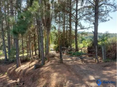 Fazenda/Sítio com 4 Quartos à venda, 276062m² no Pitangal, Jarinu