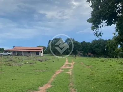 Fazenda/Sítio com 3 Quartos à venda, 40m² no , Jussara