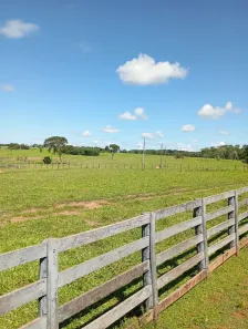 Fazenda/Sítio com 1 Quarto à venda, 8300m² no , Aquidauana
