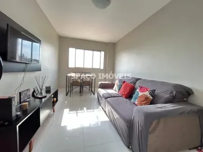 Apartamento com 2 Quartos à venda, 55m² no Vila Alexandria, São Paulo