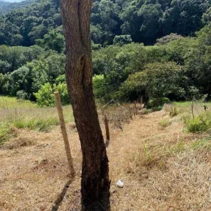 Lote/Terreno à venda, 26000m² no Quintas de Maria Elvira, Santana de Parnaíba