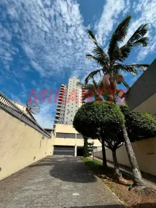 Apartamento com 3 Quartos à venda, 125m² no Vila Paulicéia, São Paulo