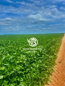 Fazenda/Sítio com 3 Quartos à venda, 100m² no , Colinas do Tocantins