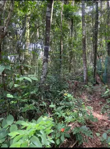Lote/Terreno à venda, 2000m² no Parque do Engenho, Nova Lima