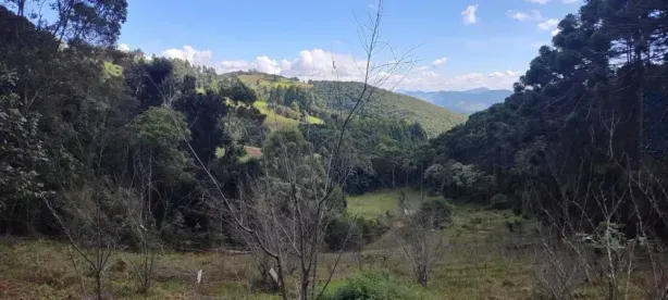 Fazenda/Sítio com 1 Quarto à venda, 96800m² no , Delfim Moreira