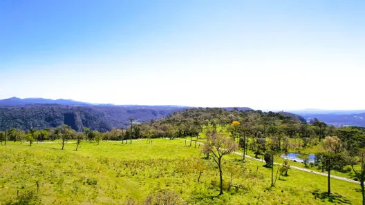 Lote/Terreno à venda, 20000m² no , Urubici