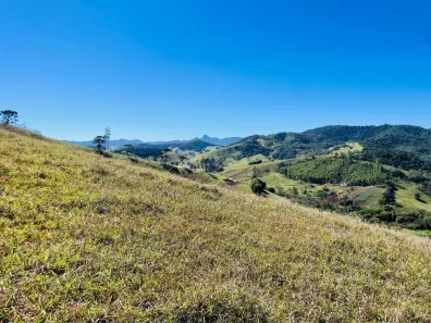 Lote/Terreno à venda, 20000m² no , Santo Antônio do Pinhal