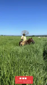 Fazenda/Sítio à venda, 17850000m² no , Várzea da Palma
