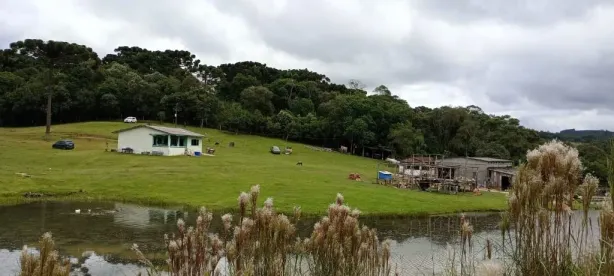 Fazenda/Sítio com 2 Quartos à venda, 300m² no Areia Branca dos Assis, Mandirituba