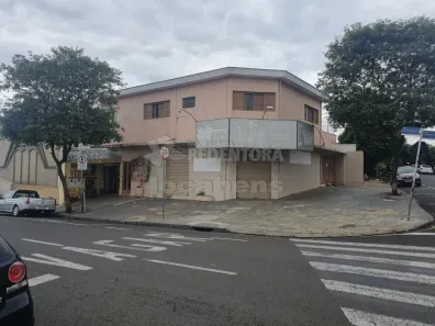 Casa com 3 Quartos à venda, 275m² no Vila Ercília, São José do Rio Preto
