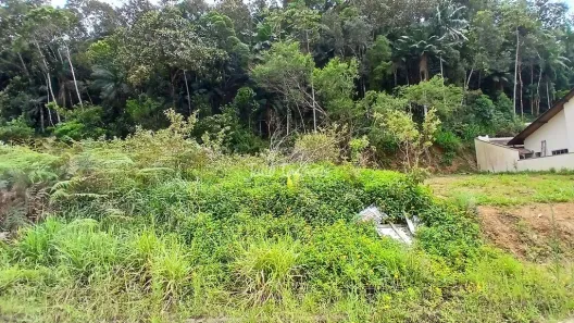 Lote/Terreno à venda, 326m² no São Pedro, Brusque