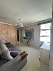 Apartamento com 2 Quartos à venda, 43m² no Jardim Monte Alto, Campinas