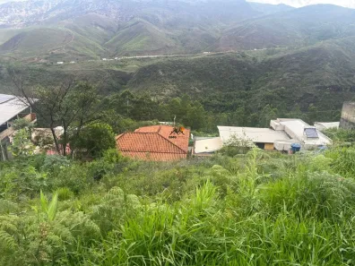 Lote/Terreno à venda, 365m² no Liberdade, Mariana
