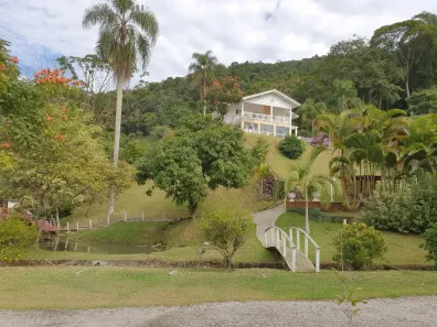 Fazenda/Sítio com 4 Quartos à venda, 70000m² no , Santo Amaro da Imperatriz