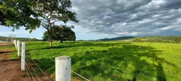 Fazenda/Sítio com 3 Quartos à venda, 8m² no , Jandaia