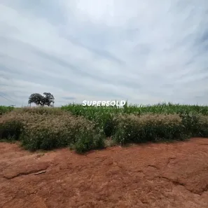 Lote/Terreno à venda, 630240m² no Jardim Chapadão, Monte Mor
