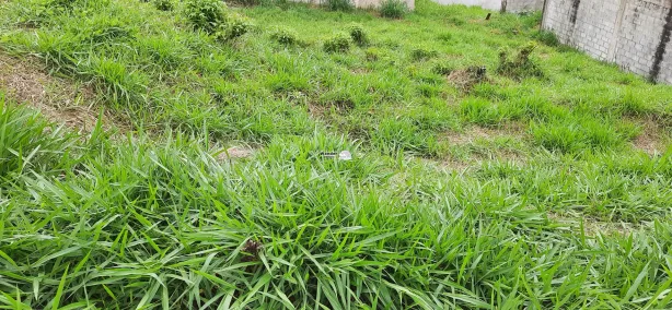 Lote/Terreno à venda, 250m² no Residencial dos Lagos, Bragança Paulista
